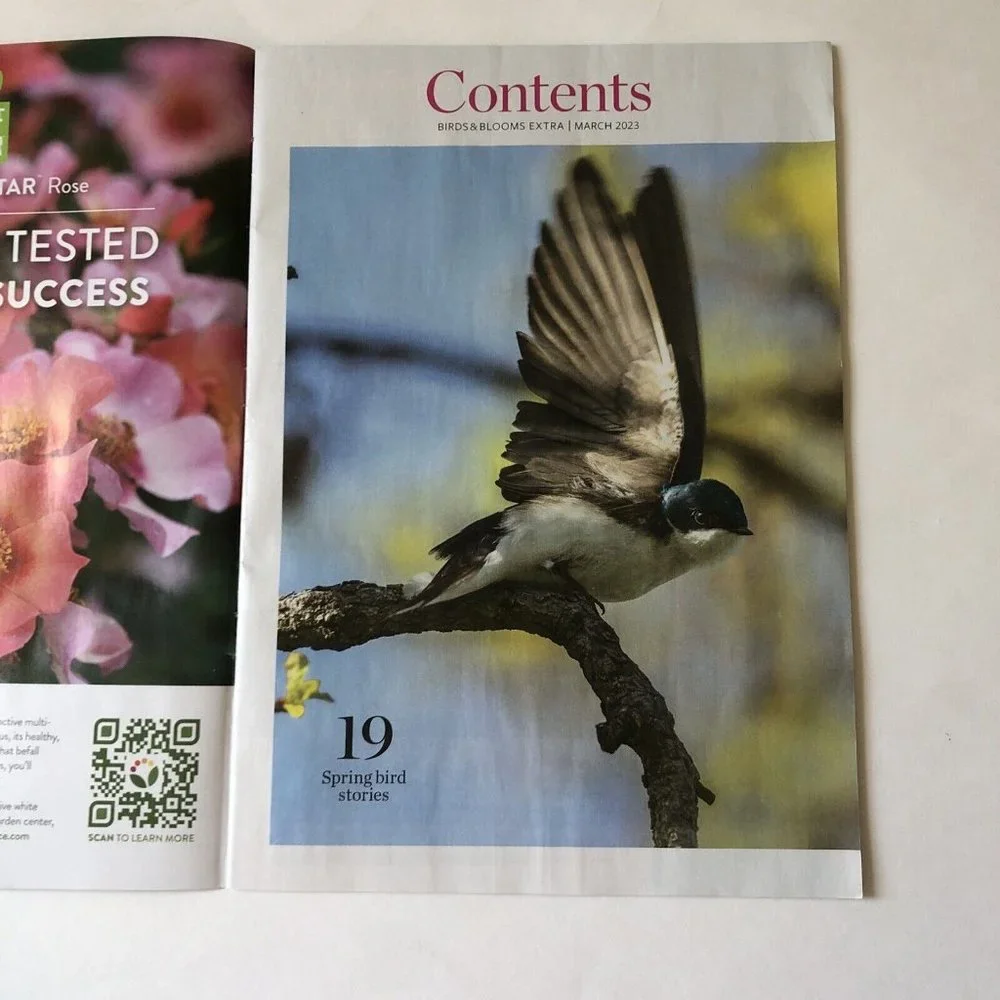Birds and Blooms Mag March Extra 2023-Finches-Herbs-feeding hacks-ground cover